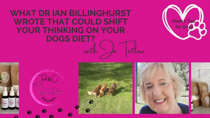 HOW WHAT DR IAN BILLINGHURST WROTE COMPLETELY SHIFTED MY THINKING ABOUT MY DOGS DIET