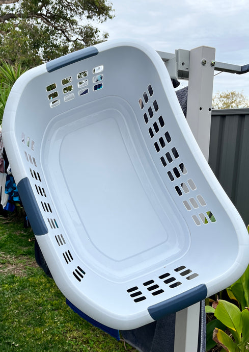 A LIFE-CHANGING SOLUTION: THE LAUNDRY BASKET'S UNEXPECTED ROLE IN ASSISTING IVDD DOGS