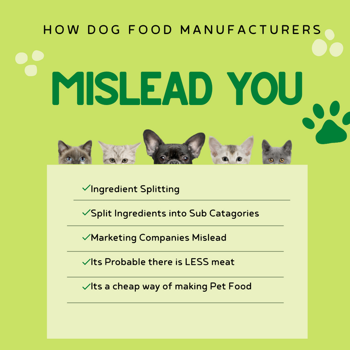 WHAT'S REALLY IN THE DOG FOOD YOU BUY?