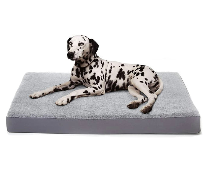 THE ESSENTIAL ROLE OF ORTHOPEDIC MATTRESSES IN IVDD DOG RECOVERY