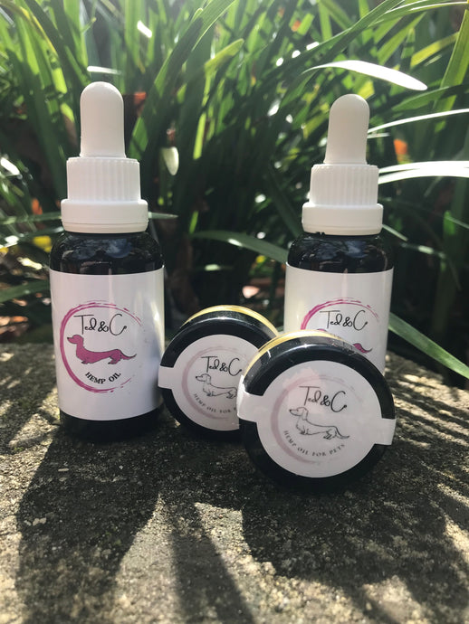 HOW WILL HEMP OIL HELP MY PET?
