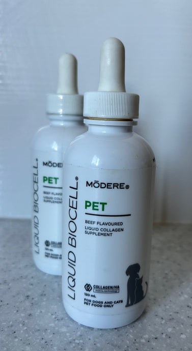 WHY I ADDED LIQUID BIOCELL® PET TO MY DOGS’ WELLNESS ROUTINE