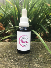 Load image into Gallery viewer, A bottle of Ted &amp; Co Hemp Oil with plants in the background.
