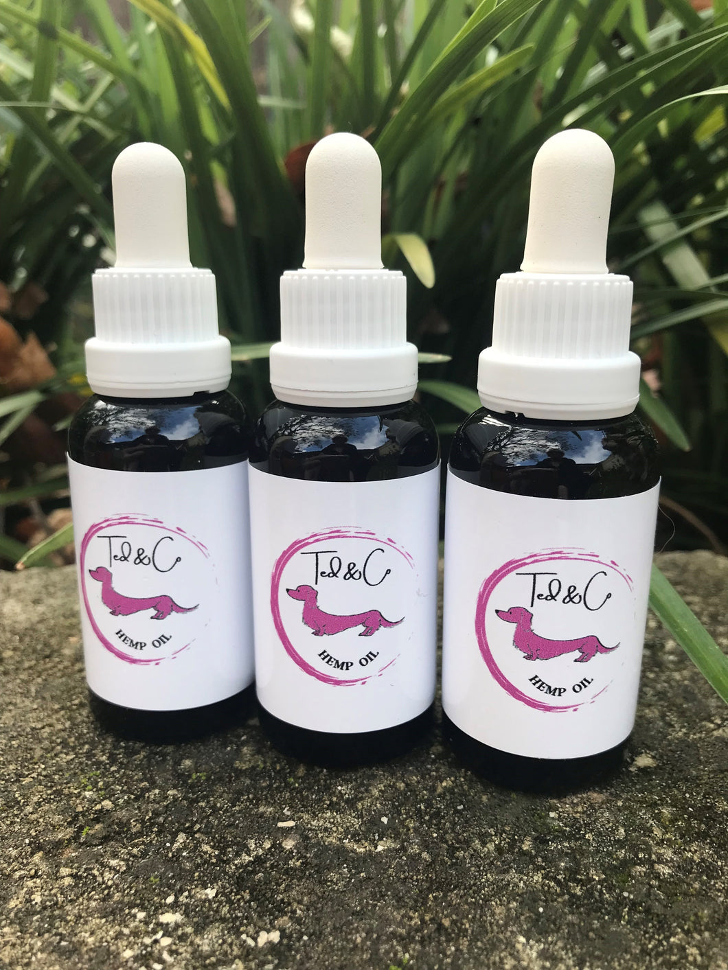 3 bottles of Ted & Co Hemp Oil with plants in the background.