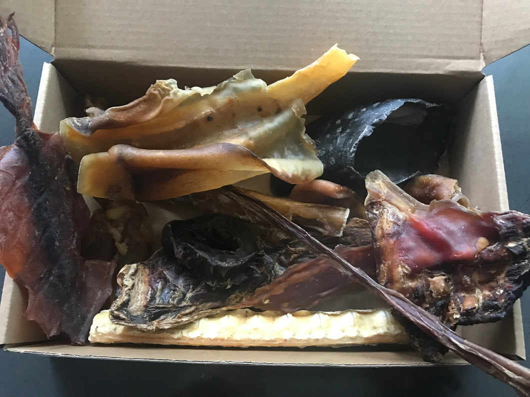 Treat Sampler Box for Dogs